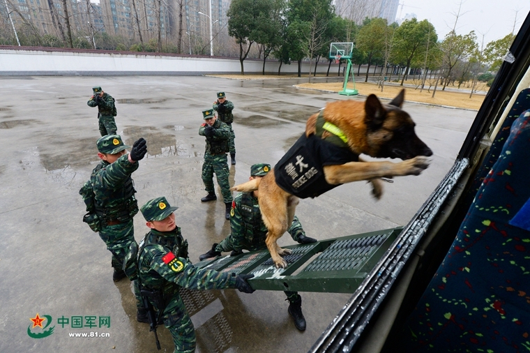 陶喆为妻庆生！小18岁娇妻小鸟依人身材火辣，55岁陶喆都显年轻了 